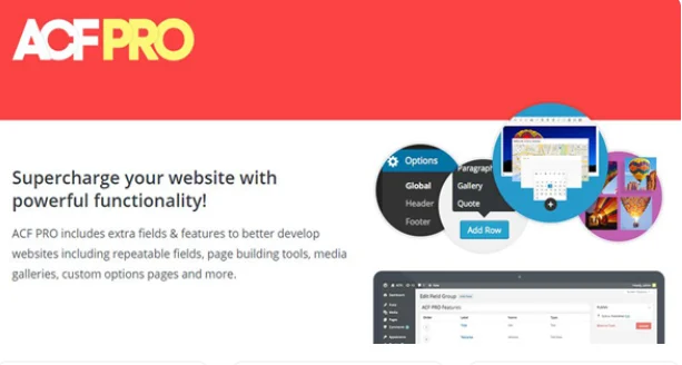 Advanced Custom Fields (ACF) Pro.webp