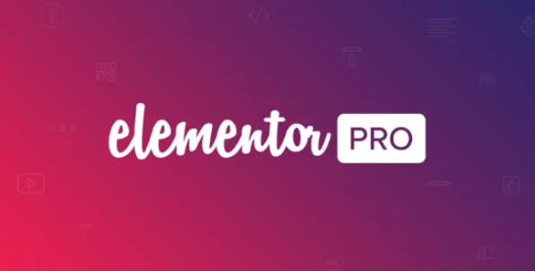 Elementor PRO.webp