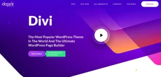 DIVI-ELEGANT-THEMES-Google-Search-05-19-2025_03_06_PM.webp