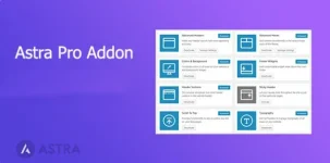 Astra Pro Addon.webp