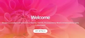 Themify-Shoppe-WooCommerce-Theme-7-8-9-–-WPAdictos-05-04-2025_11_12_AM.webp