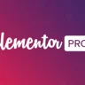 Elementor PRO
