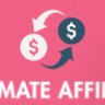 Indeed Ultimate Affiliate
